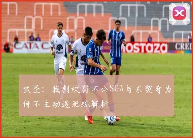武圣：裁判吹罚不公SGA与东契奇为何不主动造犯规解析